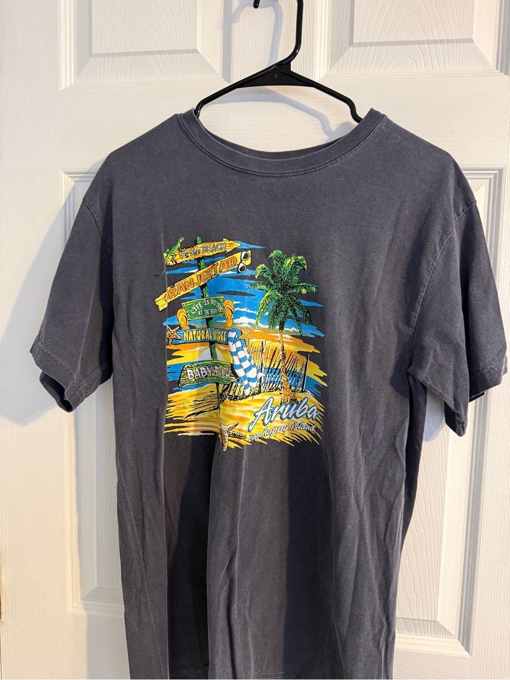 Men's Aruba Graphic Short Sleeve T-Shirt - Charcoal